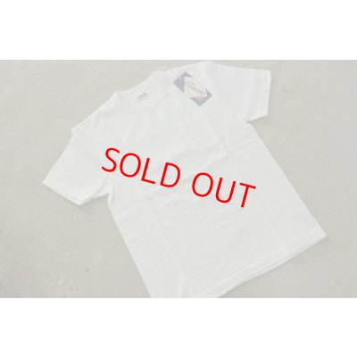 画像1: ストラスバーガー GRAVITEE吊り編み無地ポケットTシャツ