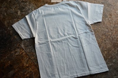 画像3: ジェラードJELADO オフィシャルロゴ半袖プリントTシャツ「Official」柄