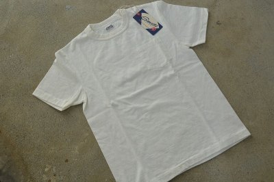 画像1: ストラスバーガー GRAVITEE吊り編み無地ポケットTシャツ